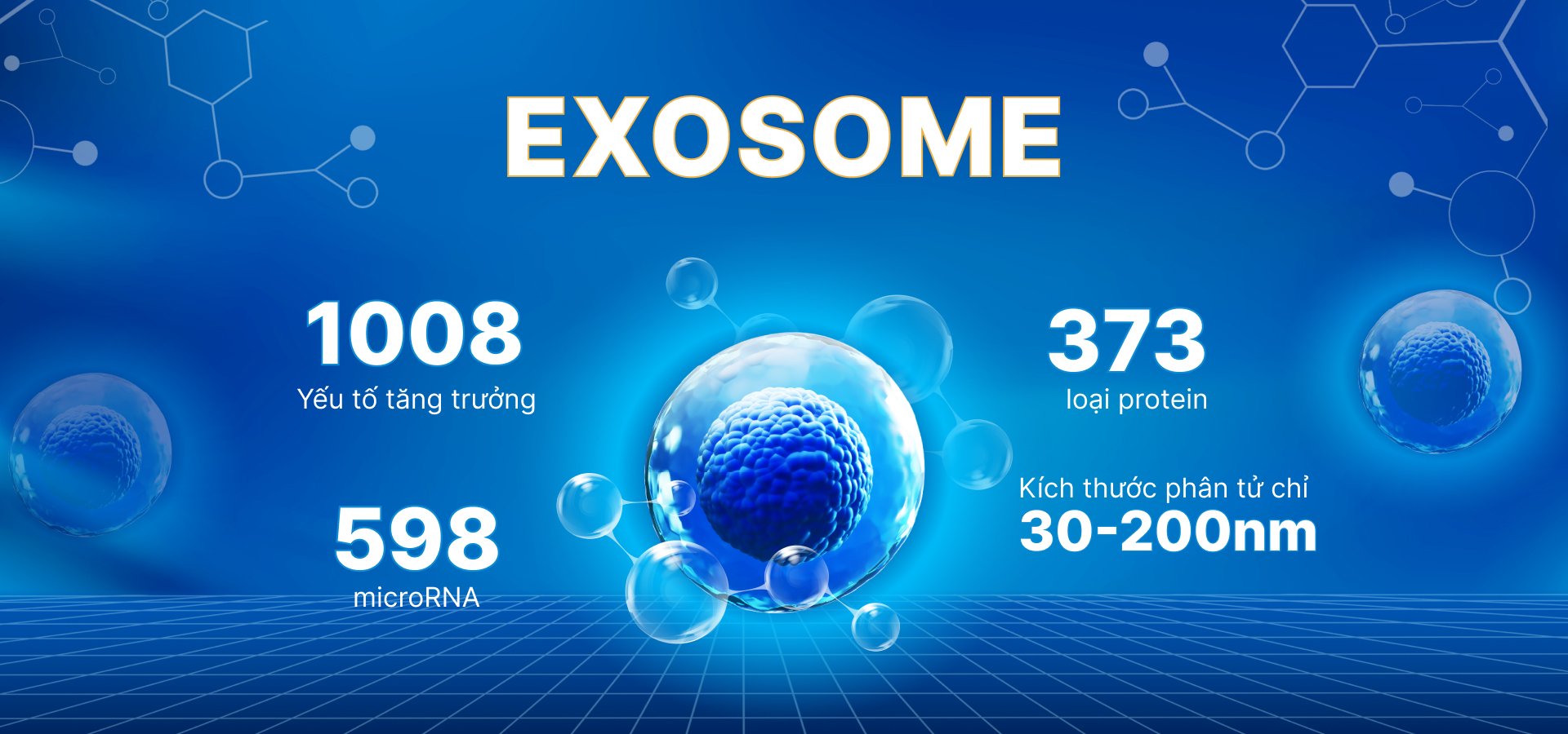 exosome-la-gi